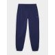 7. Men's jogger sweatpants 4F 4FWMM00TTROM1139-31S