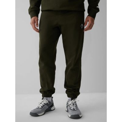 5. Men's jogger sweatpants 4F 4FRAW26TTROM2092-43S