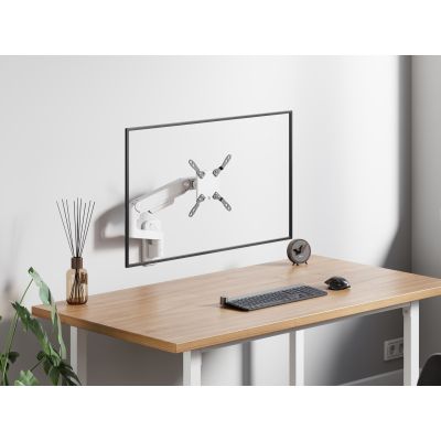 6. Equip 650140 Monitor Holder/Stand 124.5 cm (49") Wall White