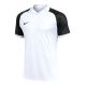 Nike Dri-FIT Trophy VI HV8151-100 T-Shirt