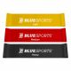 BlueSports training bands