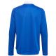 7. Adidas Tiro 21 Training Top Youth Jr GM7322 sweatshirt