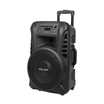 Azusa Active speaker (with 2 microphones, SD, Bluetooth, USB) 12" 40W