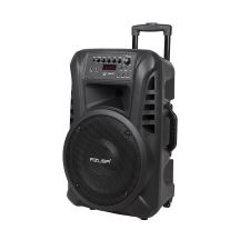 Azusa Active speaker (with 2 microphones, SD, Bluetooth, USB) 12" 40W