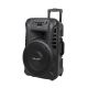 Azusa Active speaker (with 2 microphones, SD, Bluetooth, USB) 12" 40W