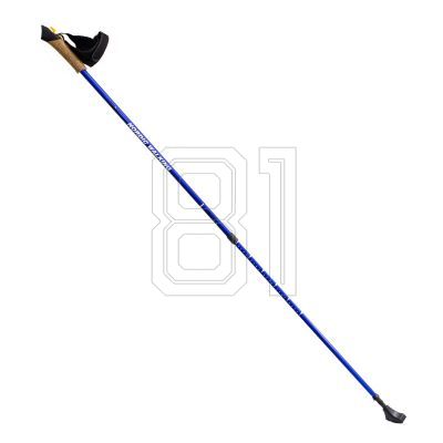 38. Nordic Walking Nils Extreme NW607 blue