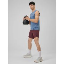 Men's quick-drying training shorts 4F 4FRSS26TFSHM1662-60S