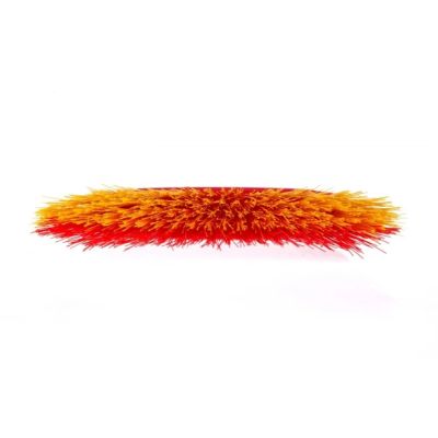 6. Vileda external brush