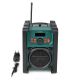 10. Nedis RDDB3100GN Portable Radio Analog & Digital Black, Green