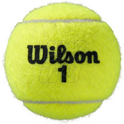 4. Wilson Roland Garros All Court tennis balls, 3 pcs WRT126400