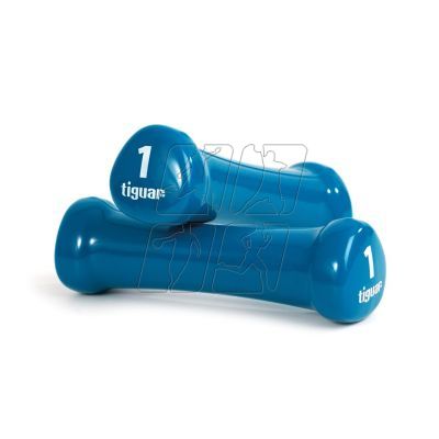 2. Tiguar vinyl dumbbells TI-HW0010BOX