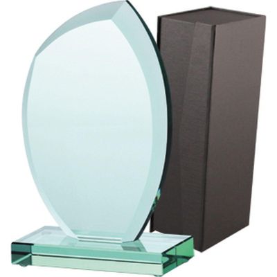 Glass trophy with case