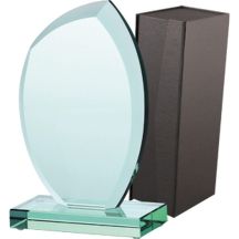 Glass trophy with case