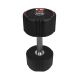 24. Body Sculpture TPU dumbbell BW 133 14 KG
