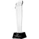 8. Engraved glass trophy with case
