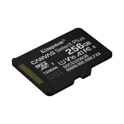 6. KINGSTON microSDXC 256GB Canvas Select Plus 3 + ADP