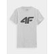 5. Men's regular printed T-shirt 4F 4FWMM00TTSHM1844-27M