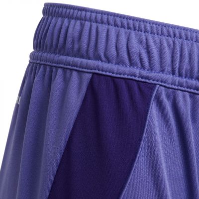 4. adidas Tiro 24 Jr IT2419 Shorts