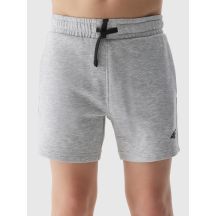 Boys' sweatpants 4F Junior