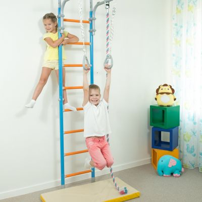 6. Wallbarz Family EG-W-056 Gymnastics Ladder