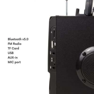 2. Audiocore portable Bluetooth speaker, FM radio, SD/MMC card slot, AUX, USB, remote control, AC730