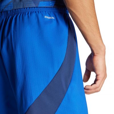 6. Adidas Tiro 24 Competition Training M shorts IQ4755