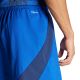 6. Adidas Tiro 24 Competition Training M shorts IQ4755