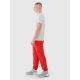5. Men's jogger sweatpants 4F 4FWMM00TTROM1139-62S