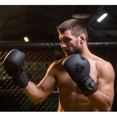 19. 10oz Boxing Gloves - Black Master - Valor Series