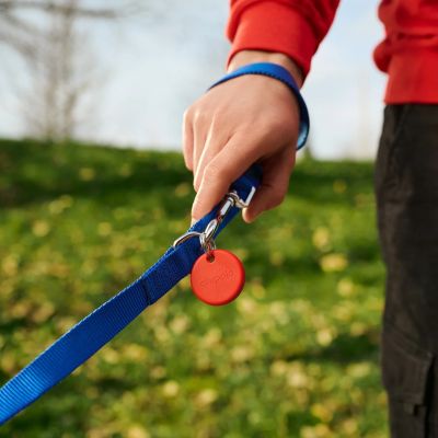 6. Chipolo POP Universal Search Green