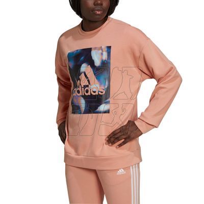 8. Adidas Youforyou Sweatshirt W HA2431