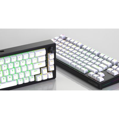 19. HATOR Skyfall 65 MAG ULTRA 8K Gaming Keyboard USB QWERTY US English Black, White