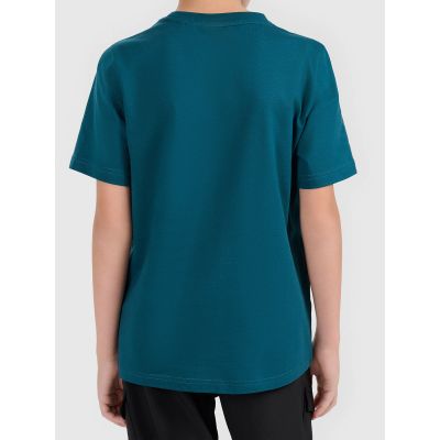 2. Boy's cotton T-shirt 4F 4FJWAW26TTSHM3507-40S