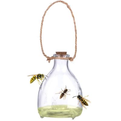 6. GLASS WASP TRAP 2 PCS KINZO