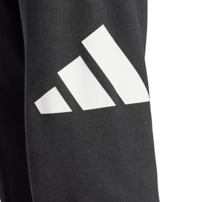10. Adidas Essentials Big Logo French Terry M IN6163 pants