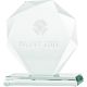 6. 3D engraved glass trophy with case