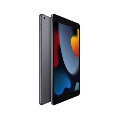 2. Apple iPad 10.2 Wi-Fi 256GB Space Gray