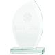 5. 3D engraved glass trophy with case
