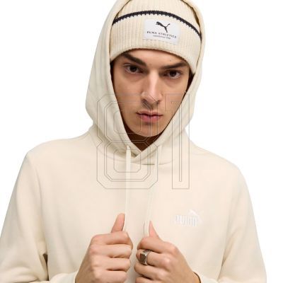 5. Puma ESS Small No.1 Logo Hoodie FL M 682575 87