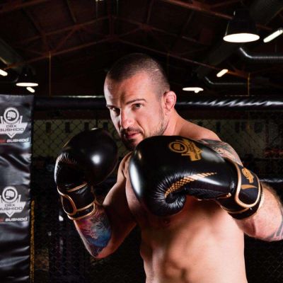 12. 10oz Boxing Gloves - Aureos - Valor Series