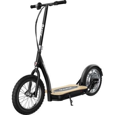 8. RAZOR electric scooter EcoSmart SUP 13173819