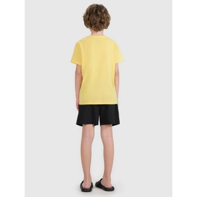 5. Boys' boardshorts 4F 4FJRMM00UBDSM110-20S