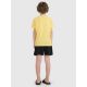 5. Boys' boardshorts 4F 4FJRMM00UBDSM110-20S