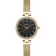Paul Lorens Women's Watch PL10995B-1D1 + BOX