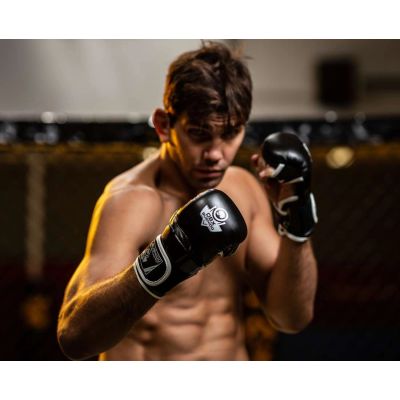 3. MMAsparring gloves L - Phantom White - Valor Series