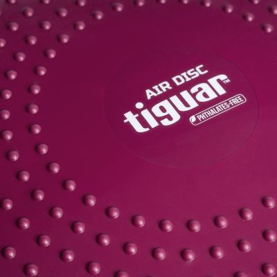 16. Tiguar stabilizing disc (air disc) DR-GT0001