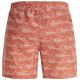 3. Protest PRTTERTON Men’s Beach Shorts