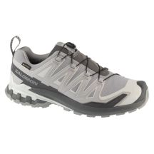 Salomon XA Pro 3D v9 GTX L49199100 Grey 46 2/3