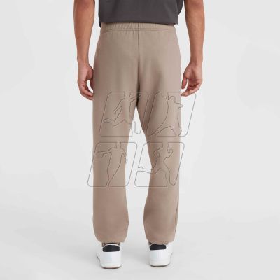 4. O&#39;Neill Future Surf Society Jogger M 92800613477 pants