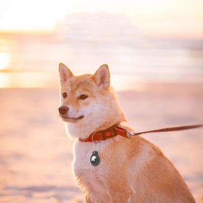 5. Tech-Protect Rough Vein 2-pack case for Apple AirTag - black